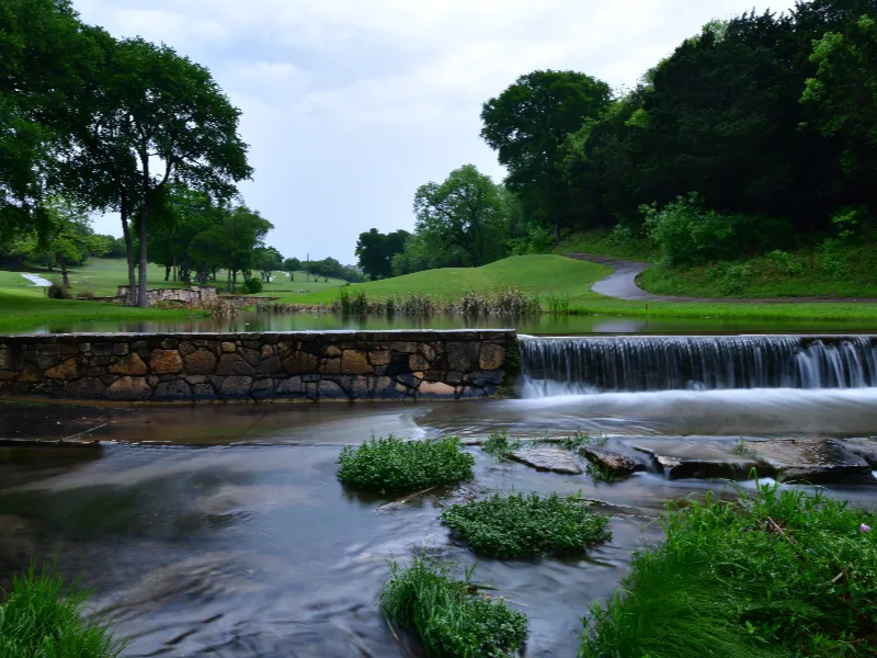 Small waterfall over a stone dam with green plants and trees surrounding a grassy area.